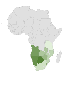 Insogalv Africa